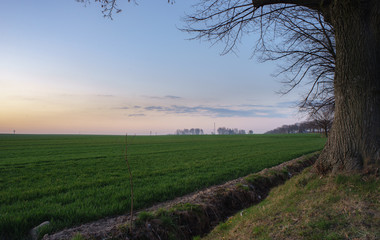 Sunset on fields and by road
