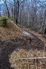 Footpath to the Sip peak, Big Fatra mountains, Slovakia