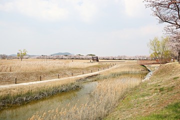한국 경기도 시흥시 시흥갯골생태공원 입니다