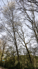 Wildlife Sanctuary Hahnheide