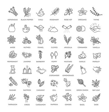 Condiment icons set. Outline set of condiment vector icons