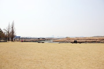 한국 경기도 시흥시 시흥갯골생태공원 입니다