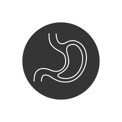 Human stomach anatomy line icon vector illustration isolated on white