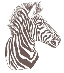 Fototapeta na wymiar Zebra sketch tattoo