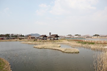 한국 경기도 시흥시 시흥갯골생태공원 입니다