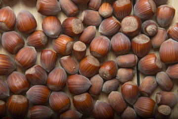 Macro photo Hazelnut nuts. Photo nature food Hazelnut nuts in shell