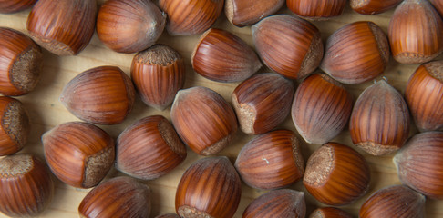 Macro photo Hazelnut nuts. Photo nature food Hazelnut nuts in shell
