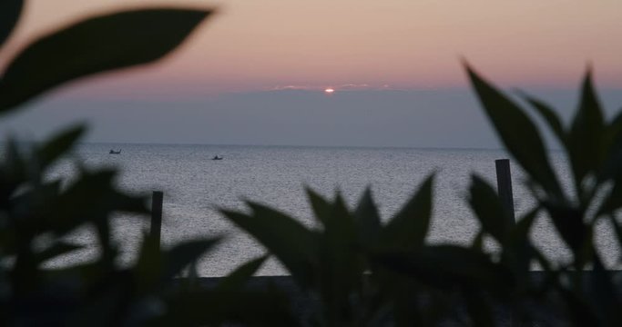 Sunrise ocean horizon, close up plants in foreground, balcony POV, Almeria, Spain