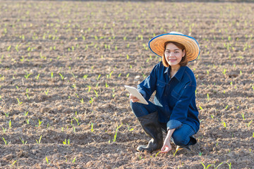 Young farmer asian woman sitting and holding smart tablet in a corn field. Technology farm Concept image.