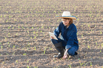Young farmer asian woman sitting and holding smart tablet in a corn field. Technology farm Concept image.