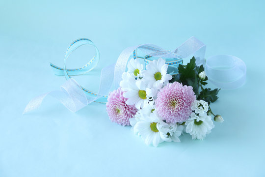 230 Best ピンポンマム Images Stock Photos Vectors Adobe Stock