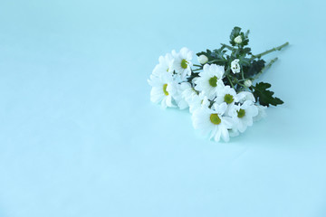 白い小菊のアレンジメント