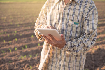 Farmer using digital tablet computer in corn field, modern technology application in agricultural growing activity, selective focus