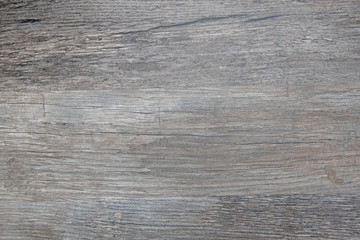Fototapeta premium Grey wood background texture, close-up