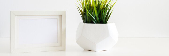 A single green plant against a blank white wall. Mockup frame. Grass in a geometric pot. An isolated object. Panorama