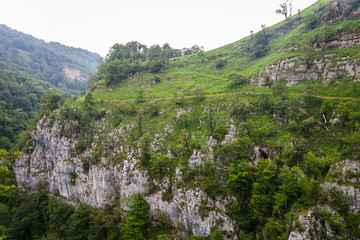 Larrau,Gorges Holzarte