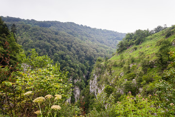 Naklejka premium Larrau,Gorges Holzarte