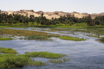 
Landscapes on the Nile in Egypt