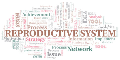 Obraz premium Reproductive System typography vector word cloud.