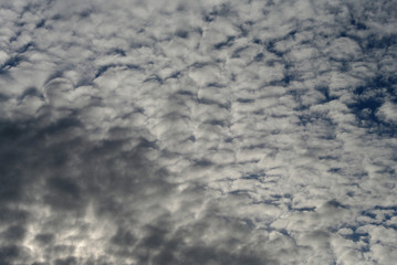 Cielo con nubes aborregadas blancas precioso