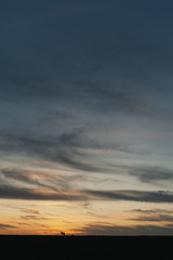 Fototapeta na wymiar Schafe vor dem Sonnenuntergang am Deich, viel Platz