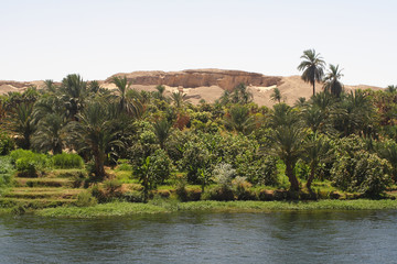 
Landscapes on the Nile in Egypt