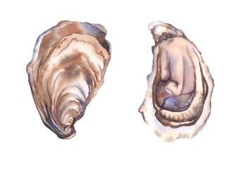 Watercolor Oysters, Oyster print, Oyster art, Abstract oyster, Coastal watercolor painting, Nautical watercolor painting, Mollusks, Seafood