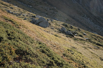 Trekking and hiking in val di susa