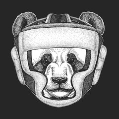 Big panda, bamboo bear portrait. oxing helmet. Boxer. Face of cute animal. Bear head.