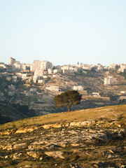 Fototapeta na wymiar Palestinian territory near Jerusalem Israel 