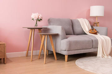 Livingroom interior with grey velvet sofa on pink wall background,