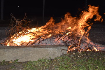 Bonfire. Burning tree branches. Environmental pollution.