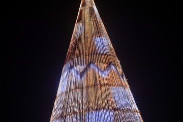 Beautiful Christmas tree on a cold winter day.