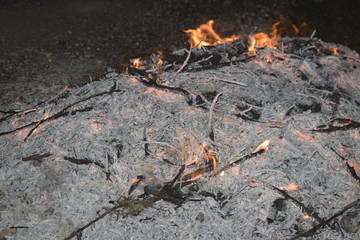 Bonfire. Burning tree branches. Environmental pollution.