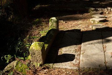 Obraz premium 日差し