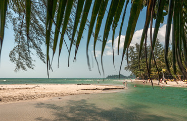Beach of tropical island with some tourists swimming under palm trees. Calm ocean waters and sandy bay