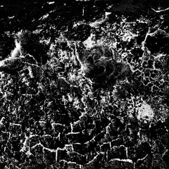 Unique picture drawn by nature that revealed itself on natural object like bark, stone, wall etc. the more you watch the more you see