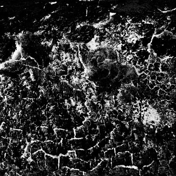 Unique picture drawn by nature that revealed itself on natural object like bark, stone, wall etc. the more you watch the more you see