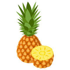 Fresh whole and half pineapple fruit isolated on white background. Summer fruits for healthy lifestyle. Organic fruit. Cartoon style. Vector illustration for any design.