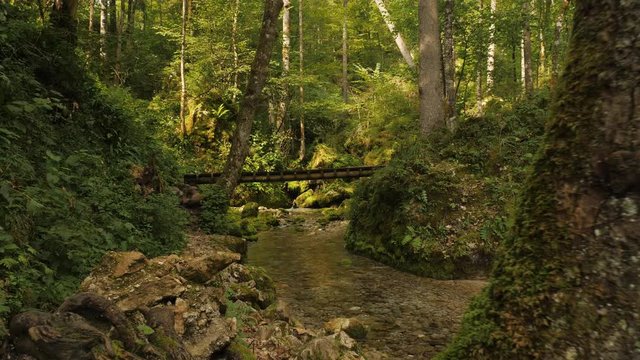 Beautiful place in Slovenia. Kamni&scaron;ka Bistrica Bridge. Blue water