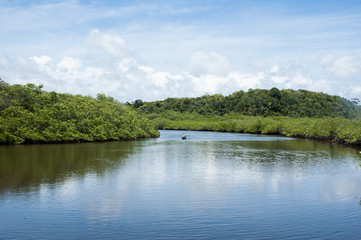 paisagem de rio com barco navegando