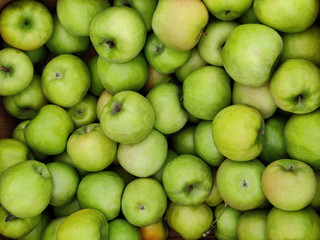 Texture of fresh green juicy apple fruits