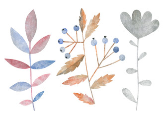 Set of colorful fairytale plants. Watercolor illustration. Isolated objects on a white background.