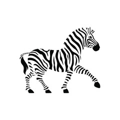 Obraz na płótnie Canvas Vector zebra standing isolated on white background,graphical sketch