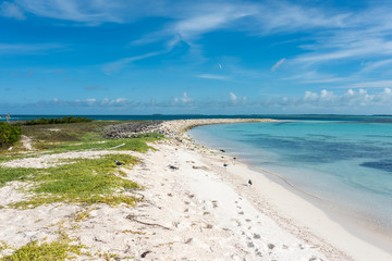 View of  the tropical beach in "Cayo Nordisky" (Los Roques' Archipelago, Venezuela).