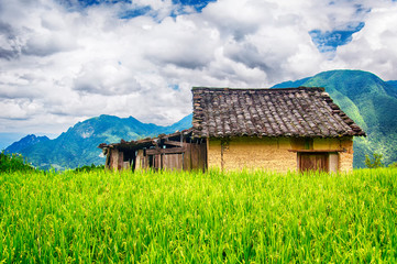 Yunhe china cloud rice terrace landscape and building