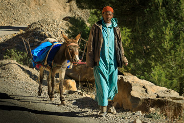 Alter Berber bekleidet mit einer Djellaba f&uuml;hrt einen Esel im Atlasgebirge von Marokko und transportiert blaue S&auml;cke  