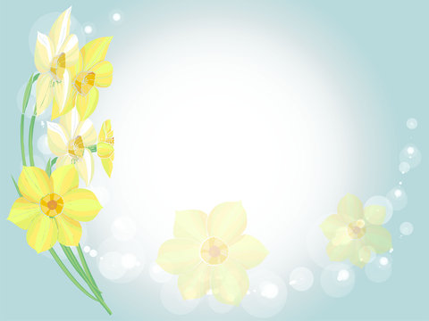 Vector spring background with narcissus flowers - ideally for spring card or certificate template	

