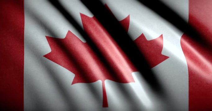 National flag of Canada waving on the wind