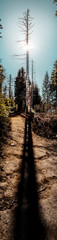 Hiking adeventure path in the mountains. Oderteich, National Park Harz Mountain in Germany, Europe
